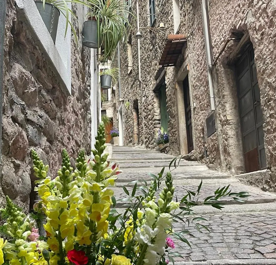 Appartamento Le Bijou di Dolceacqua, per un momento memorabile. Dolceacqua