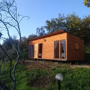 Agricampeggio La Casa Di Nicla Campeggio Cavriglia